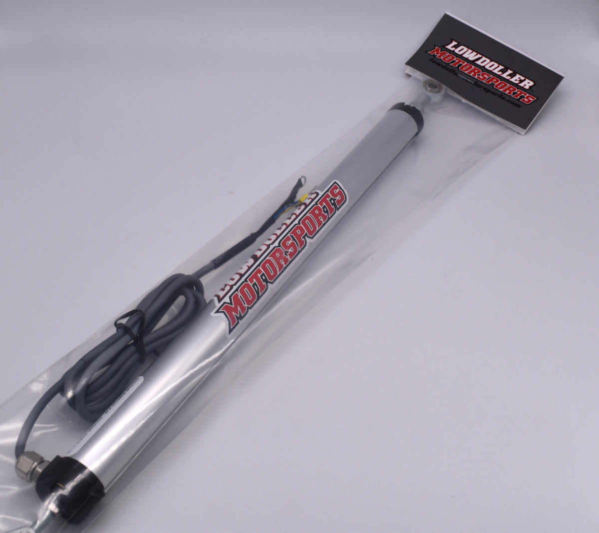 Lowdoller Motorsports 1