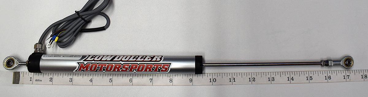 Lowdoller Motorsports 1