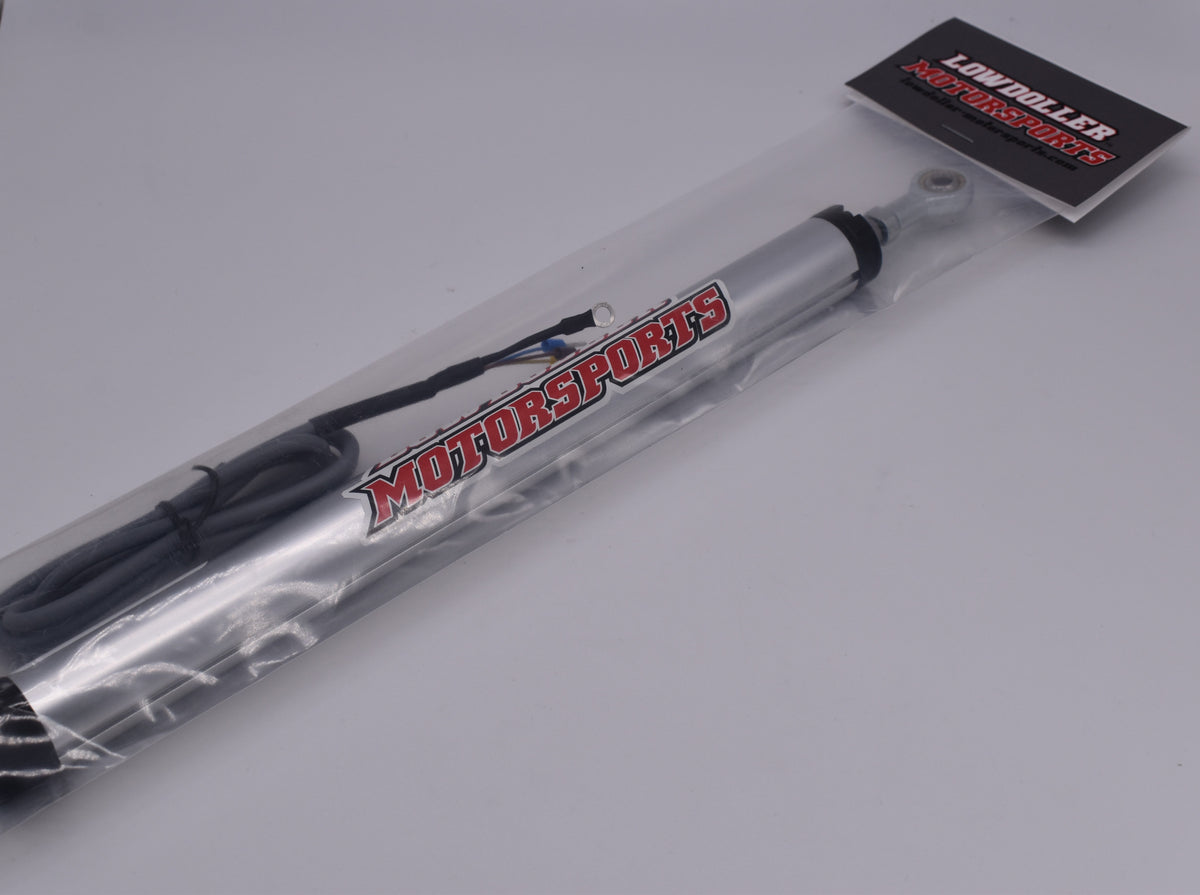 Lowdoller Motorsports 1